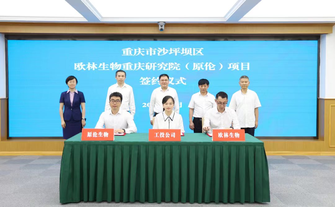 重庆研究院 重庆研究院